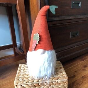 Spring Gnome with Carrot Hat